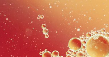 Kırmızı arkaplanda fotokopi alanı ile hareket eden baloncukların canlandırması. Desen, hareket ve renk konsepti dijital olarak oluşturulmuş video.