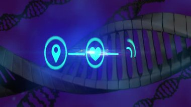 DNA iplikçiklerinin dönmesi ve mor arkaplan üzerindeki ikon ağının canlandırılması. Küresel eğitim, bilim, bilgisayar ve veri işleme kavramı dijital olarak oluşturulmuş video.