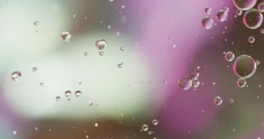 Fotokopi alanı ile beyaz ve pembe arka planda hareket eden baloncukların canlandırması. Desen, hareket ve renk konsepti dijital olarak oluşturulmuş video.