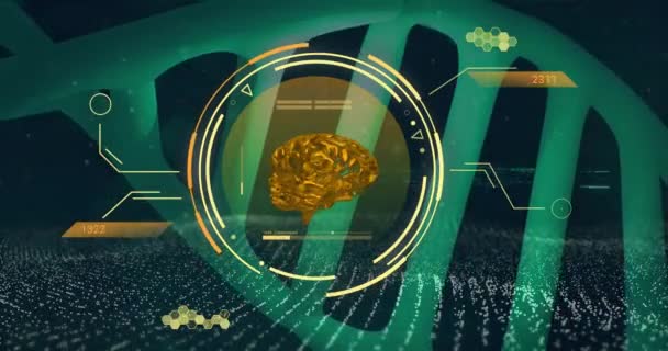 Animação Cadeia Dna Cérebro Humano Processamento Dados Científicos Conceito Global — Vídeo de Stock