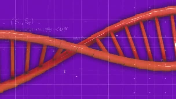 Animation Dna Strand Spinning Mathematical Data Processing Purple Background Global — Stock Video