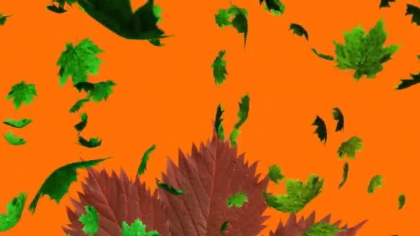 Animacja Zielonych Liści Klonu Spadających Suche Liście Klonu Pomarańczowym Tle — Wideo stockowe