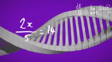 DNA iplikçiklerinin dönüşünün animasyonu ve mor arkaplan üzerinde matematiksel veri işleme. Küresel eğitim, bilim, bilgisayar ve veri işleme kavramı dijital olarak oluşturulmuş video.