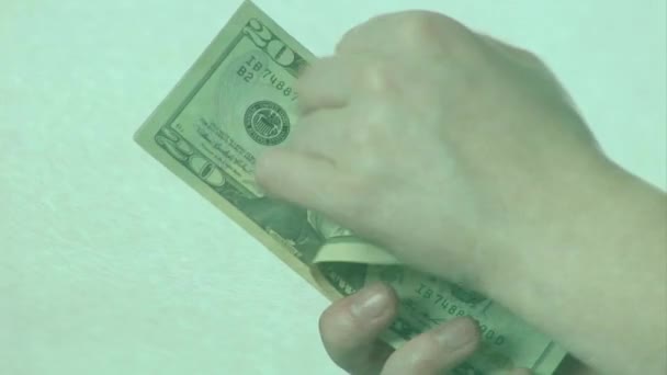 Animação Notas Dólar Americano Caindo Sobre Mãos Contando Notas Dólar — Vídeo de Stock