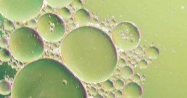 Fotokopi alanı ile yeşil arkaplanda hareket eden baloncukların canlandırması. Desen, hareket ve renk konsepti dijital olarak oluşturulmuş video.