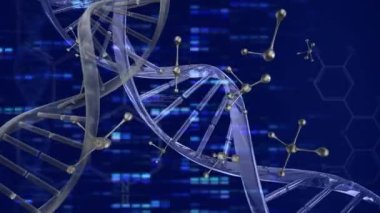 Veri işleme üzerinde dönen DNA iplikçiklerinin canlandırması. Küresel bilim, iş, finans, hesaplama ve veri işleme kavramı dijital olarak oluşturulmuş video.