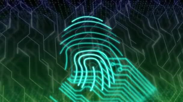 Animación Huella Biométrica Procesamiento Datos Través Placa Circuito Informático Seguridad — Vídeo de stock