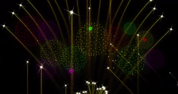Animazione Testo Orgoglio Arcobaleno Bandiera Fuochi Artificio Esplodono Sfondo Nero — Video Stock