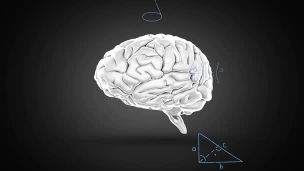 Анимирование Вращения Человеческого Мозга Расположения Черном Фоне Концепция Глобальной Науки — стоковое видео