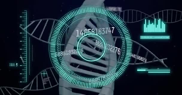 Animation Des Dna Strangspinnens Der Datenverarbeitung Und Der Wissenschaftlichen Datenverarbeitung — Stockvideo