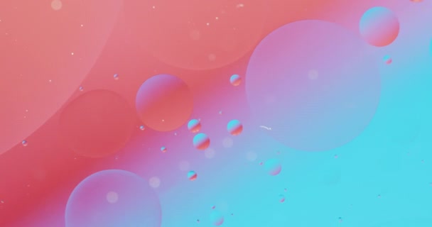 Animation Bubbles Moving Red Blue Background Copy Space Pattern Movement — Stock Video
