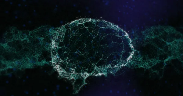 Nsan Beyni Dna Sının Siyah Arka Plandaki Bileşimi Bilim Araştırma — Stok fotoğraf
