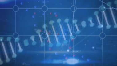 Beyaz parçacıkların animasyonu ve dönen DNA yapısı mavi arkaplan üzerinde ızgara ağı üzerinde. Tıbbi araştırma ve bilim teknolojisi kavramı