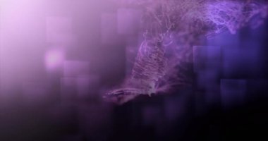 Dalgalı çizgilerin kare şeklinde animasyonları, mor arkaplandaki fotokopi uzayına karşı. Teknoloji arka plan kavramı