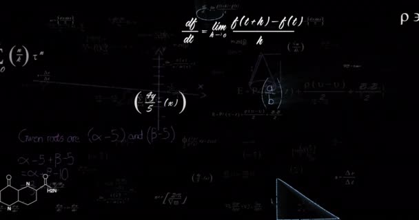 Animación Ecuaciones Matemáticas Sobre Fondo Negro Concepto Negocio Global Interfaz — Vídeo de stock