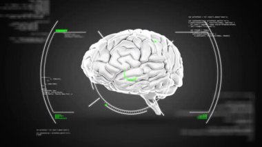 Bilgisayar dilinin üzerinde daireler çizerek soyut arka plana karşı dijital insan beyninin animasyonu. Dijital olarak üretilmiş, hologram, şekil, kodlama, yapay zeka, kodlama ve teknoloji konsepti.