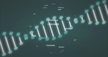 Soyut arkaplan üzerinde dönen dünya etrafında sayıları değiştirmenin animasyonu. Dijital olarak üretilmiş, hologram, illüstrasyon, molekül, anatomi, tıbbi, sağlık ve teknoloji konsepti.