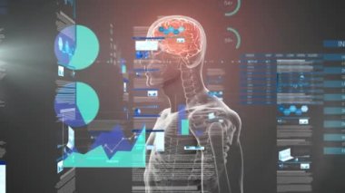 Dönen beyin ve gri arka planda insan üzerinde veri işleme animasyonu. Küresel iş ve dijital arayüz kavramı dijital olarak oluşturulmuş video.