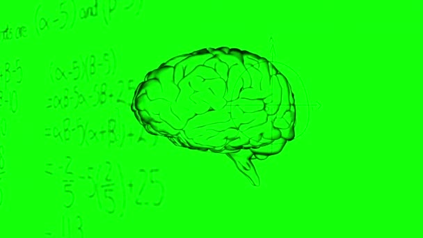 Animation Mathematischer Gleichungen Und Diagramme Über Dem Menschlichen Digitalen Gehirn — Stockvideo