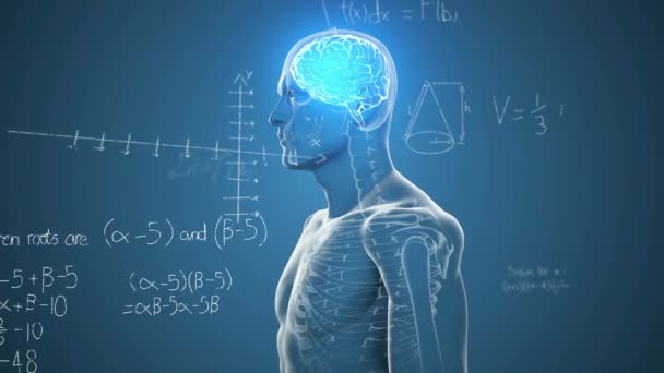 Animace Matematických Součtů Diagramů Nad Osvětleným Digitálním Mozkem Lidském Těle — Stock video