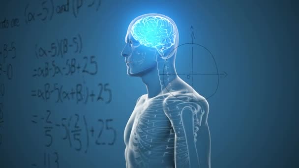 Nsan Vücudundaki Aydınlatılmış Dijital Beyin Üzerinde Matematiksel Toplamların Diyagramların Animasyonu — Stok video