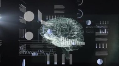 Kara fon üzerinde dönen beyin ve borsa üzerinde veri işleme animasyonu. Küresel iş ve dijital arayüz kavramı dijital olarak oluşturulmuş video.