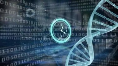 Arka plandaki hud arayüzüne karşı ikili kodların üzerinde DNA sarmalı olan saatin animasyonu. Dijital olarak üretilmiş, hologram, molekül, kodlama, ilerleme, tıbbi ve teknoloji konsepti.