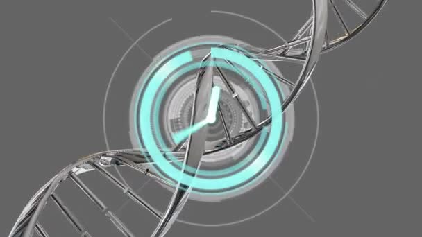 Animazione Dell Orologio Digitale Elica Del Dna Tunnel Circolare Sfondo — Video Stock
