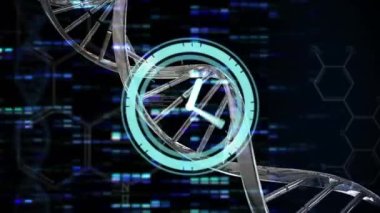 Altıgenler ve siyah arkaplandaki parmaklıklara karşı DNA sarmalı üzerinden dijital saatin animasyonu. Dijital olarak üretilmiş, hologram, illüstrasyon, saat, tıbbi, molekül, sağlık ve teknoloji konsepti.