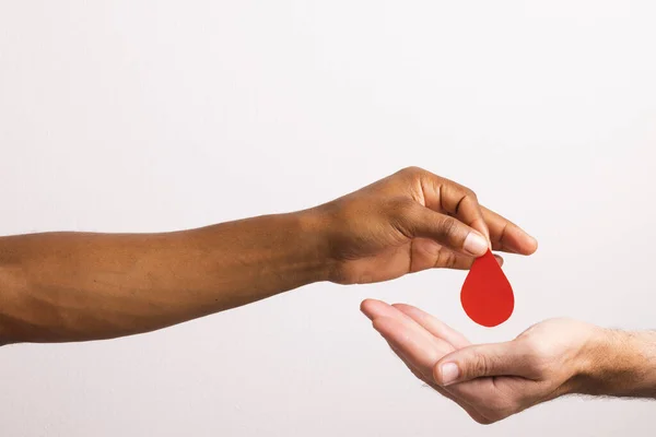Hands Biracial Man Giving Blood Drop Caucasian Man White Background — Stock Photo, Image