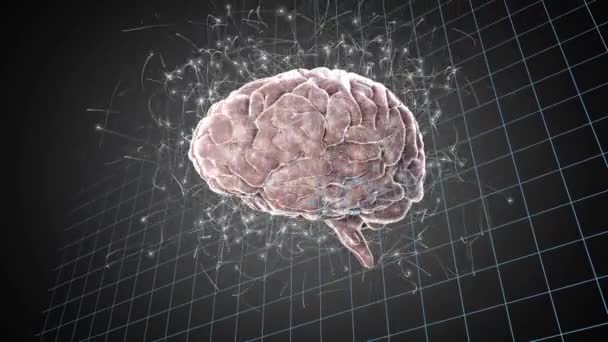 Animação Rede Conexões Sobre Fiação Ícone Cérebro Humano Equações Matemáticas — Vídeo de Stock