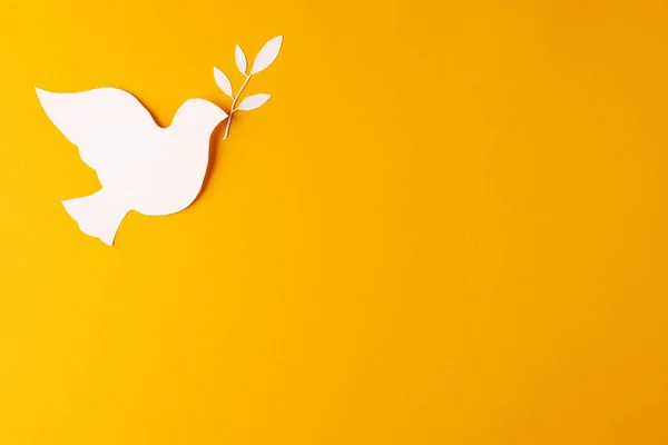 Nahaufnahme Einer Weißen Taube Mit Blatt Und Kopierraum Auf Gelbem — Stockfoto