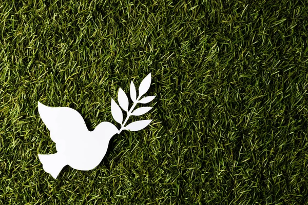 用叶子把白鸽圈起来 在草丛的背景上复制空间 和平与反战运动概念 — 图库照片