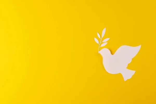 Beyaz Güvercini Yaprak Sarı Arkaplanda Kopyalama Alanı Ile Kapatın Barış — Stok fotoğraf