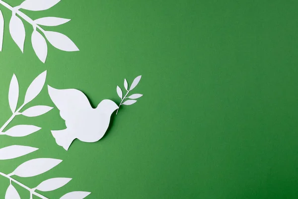 Close White Dove Leaves Copy Space Green Background Peace War — Stock Photo, Image