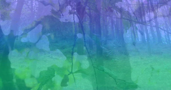 Fényfoltok Összetétele Erdő Felett Lomblevelű Fákkal Természet Harmónia Koncepció Digitálisan — Stock Fotó