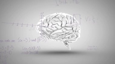 İnsan beyni simgesini gri arka planda döndürmek üzerine matematiksel denklemlerin animasyonu. Tıbbi araştırma ve iş teknolojisi kavramı