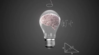 Elektrik ampulünde dönen insan beyninin animasyonu ve gri arkaplanda matematiksel denklemler. Tıbbi araştırma ve iş teknolojisi kavramı
