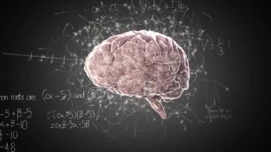 Dönen beyin ikonu ve matematiksel denklemler üzerindeki bağlantı ağının animasyonu. Tıbbi araştırma ve iş teknolojisi kavramı
