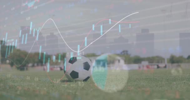Animazione Elaborazione Dei Dati Metà Sezione Del Giocatore Calcio Maschile — Video Stock