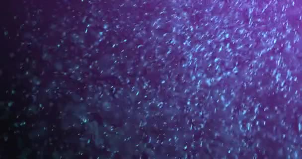 Animación Partículas Azules Brillantes Que Caen Sobre Fondo Púrpura Con — Vídeos de Stock