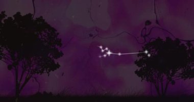 Ağaçlı manzaranın üzerinde parlayan yıldızların olduğu Taurus yıldızının animasyonu. Astroloji, yıldız falı ve burç imzası konsepti dijital olarak oluşturulmuş video.