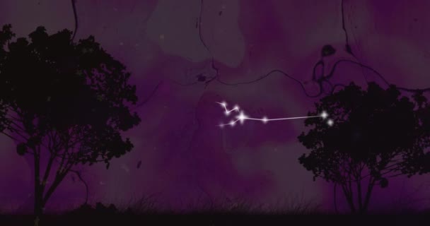 Анімація Таврських Зоряних Знаків Яскравими Зорями Над Ландшафтом Деревами Астрологія — стокове відео