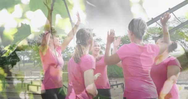 Animation Över Olika Kvinnor Med Tränare Hinderbana Global Sport Hälsa — Stockvideo