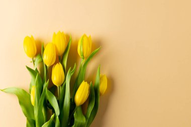 Sarı arkaplanda kopya alanı olan sarı laleler. Anneler Günü, doğa ve bahar konsepti.