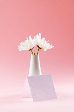 Beyaz vazodaki beyaz çiçekler ve pembe arka planda kopya alanı olan bir kart. Anneler Günü, doğa ve bahar konsepti.