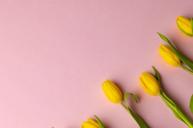 Image of yellow tulips with copy space on pink background. Mothers day, nature and spring concept.