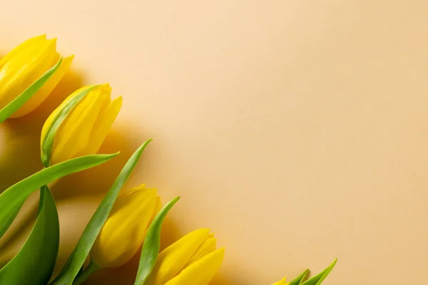 stock image Image of yellow tulips with copy space on yellow background. Mothers day, nature and spring concept.