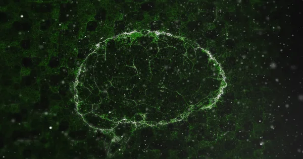 Siyah Arkaplandaki Şekiller Üzerinde Dijital Beyin Beyaz Noktalar Küresel Bilim — Stok fotoğraf
