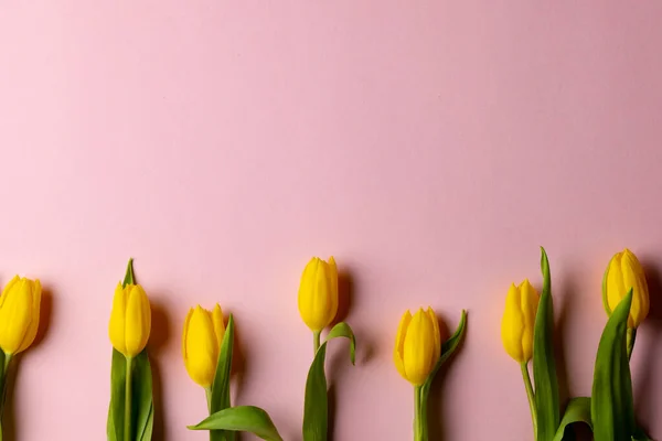 Image Yellow Tulips Copy Space Pink Background Mothers Day Nature — Foto de Stock